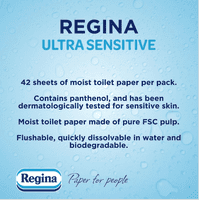 Regina Moist Toilet Tissue Ultra Sensitive 12 Pack - 42 Flushable Wipes per Pack