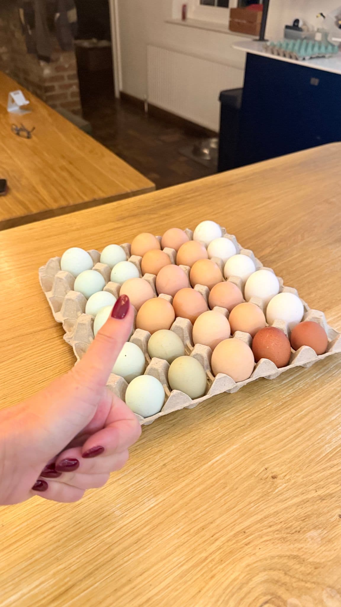 Why Have My Hens Suddenly Stopped Laying Eggs?