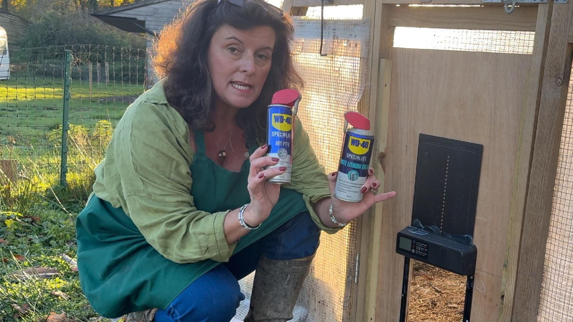 Automatic Chicken Doors In Winter - You NEED To Do This: