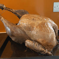 Baby Turkey Chicks - Bronze or  Norfolk Black or White July 2026