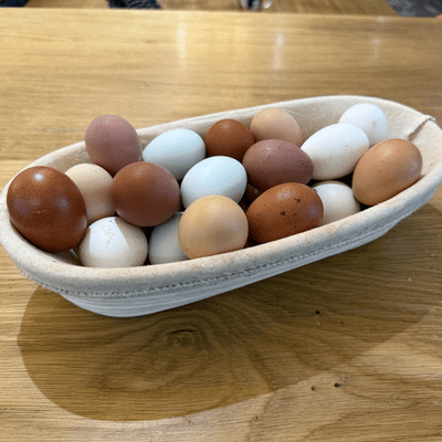 Farmyard Mix Chicken Fertilised Hatching Eggs - Pre-Order for 1st July Onwards