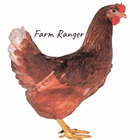 Select On The Day Chickens - Available Now