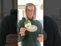 Eva-Luria Artificial White and Ivory Bridal Bouquet – Sage Green Wedding Flowers for Summer