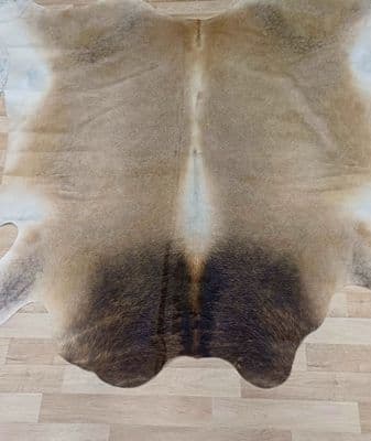 Hair on Cow Hide 'Jesse'