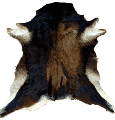 Hair on Goat Skin 'Alf'