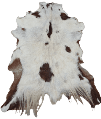 Hair on Goat Skin 'Eric'