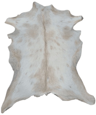 Hair on Goat Skin 'James'