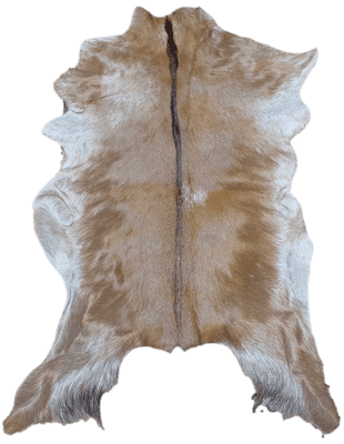 Hair on Goat Skin 'Malcolm'