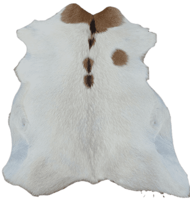 Hair on Goat Skin 'Nigel'