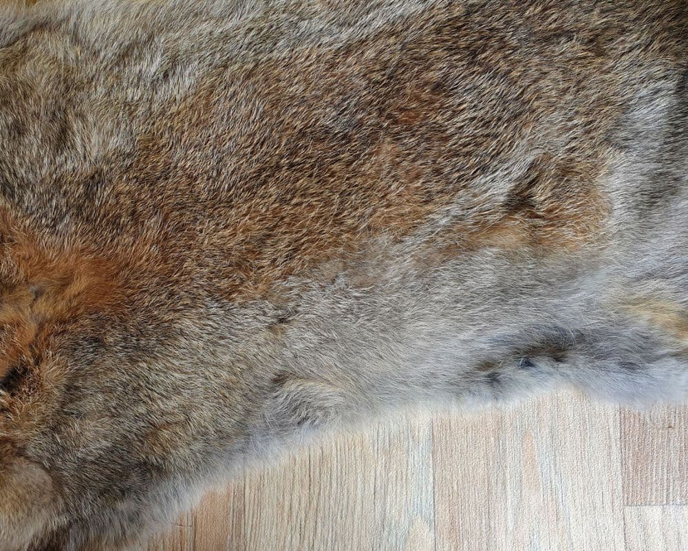 Hair on Rabbit Pelts Wild Rabbit