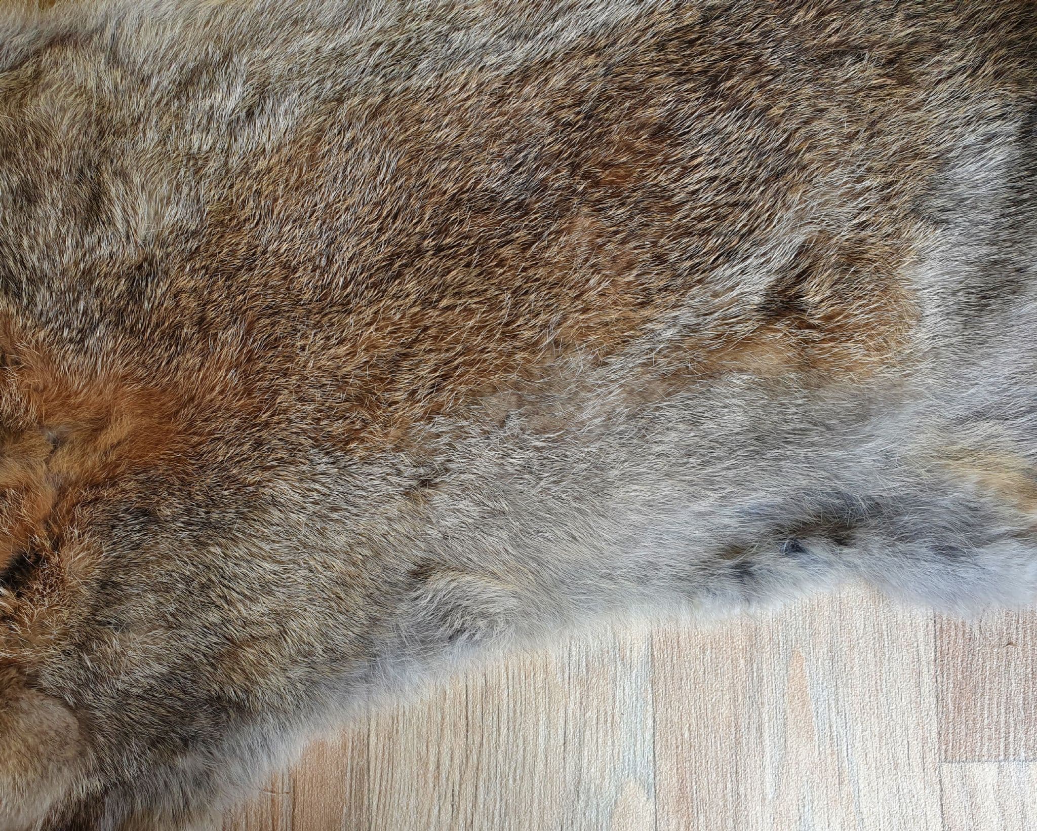 Hair on Rabbit Pelts - Wild Rabbit