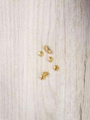 Regular Chicago Screw - Brass Plated