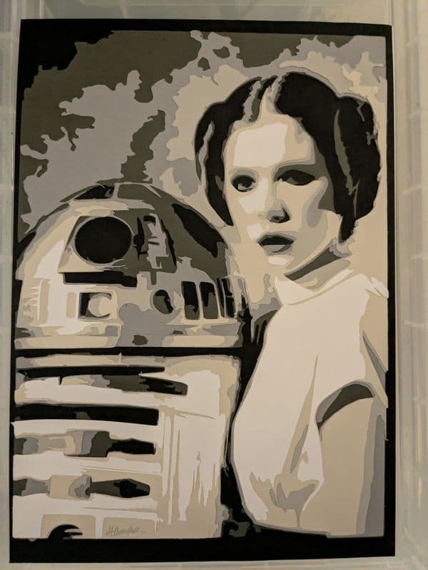 C3P0 AND LEIA