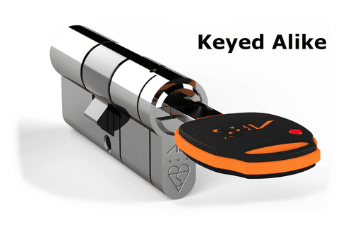 Avocet ABS Master Double Cylinder - Keyed Alike