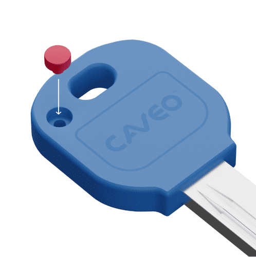 Caveo Key ID Colour Insert Pips