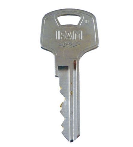 IFAM D Series Genuine Keys