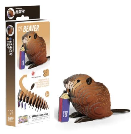 Beaver Eugy 3D Cardboard Model Kit