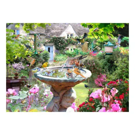Summer Birds HOP 1000 Piece Jigsaw Puzzle