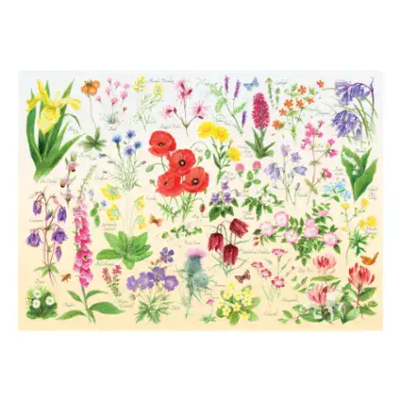Wildflowers HOP 1000 Piece Jigsaw Puzzle