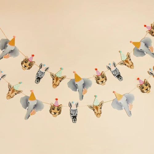 Party Animal Pom Pom Garland x2m