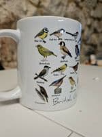 British Garden Birds mug cup birdwatcher beginner ideal gift twitcher