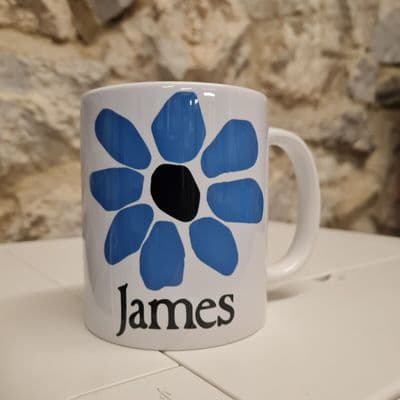 James the band Daisy Cup Mug Tim Booth Sit Down Born of Frustration Come Home