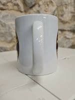 Melchester Rovers Football Club Cup Mug Roy Race of the Rovers ROTR