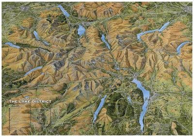 Fir Tree Map - Celebration of Lake and Mountain - Paper