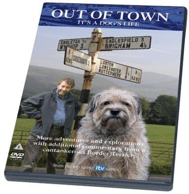 Out of Town - It’s a Dog’s Life