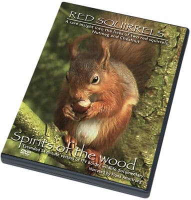 Red Squirrels DVD