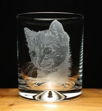 Cat Engraved Glass Tumbler
