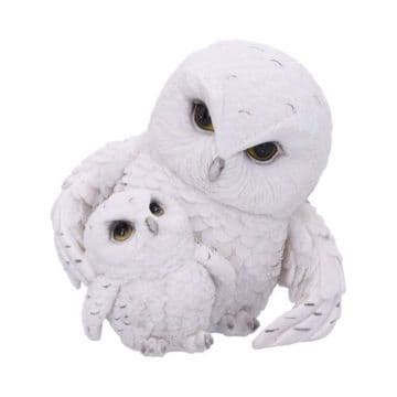 Feathered Guide Owl 13.5cm