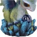 Hatchling Possession Dragon