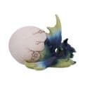 Hatchlings Rest Dragon