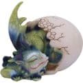 Hatchlings Rest Dragon