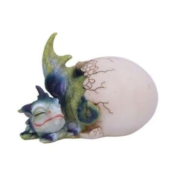 Hatchlings Rest Dragon