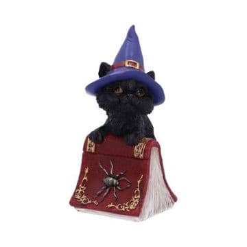 Hocus Cat 12.7cm