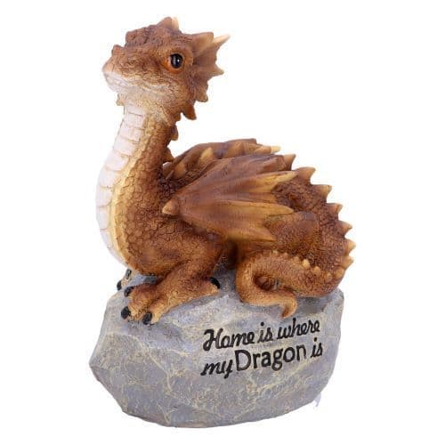 Home is where my Dragon is