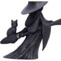 Little Souls Beam Witch on Broomstick with Cat 12.7cm