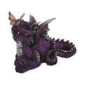 Nature's Kiss Dragon 22.3cm