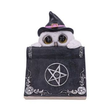 Owl's Spell 15cm