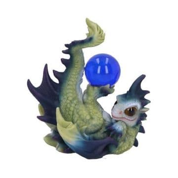 Playful Hatchling Dragon