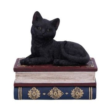 Salems Spells Cat 11.7cm