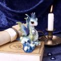 Water Hatchling Dragon