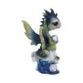 Water Hatchling Dragon
