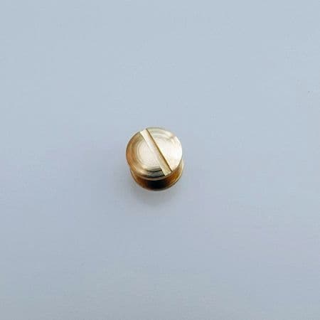 6mm Brass Joining Screws X 2
