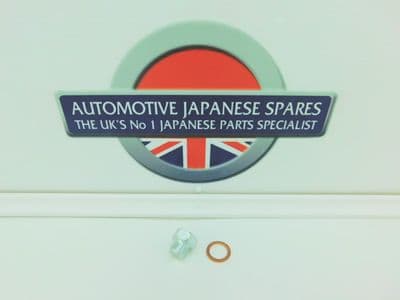 MITSUBISHI DELICA 3.0i SUMP PLUG & WASHER