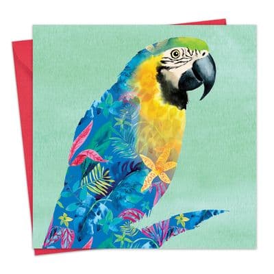 BN4 - Parrot Blank Greeting Card