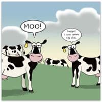 Funny Birthday Cards. Funny Cards. Funny Happy Birthday Cards. Humorous Greeting Cards. Twizler.