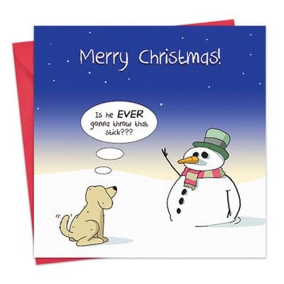 CANX25 - Funny Dog Christmas Card Throw That Stick